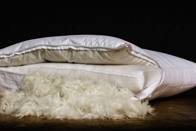 Cuscini per divani in piuma e poliuretano espanso - Meda (MB) - Pelucchi  Imbottiture